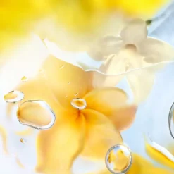 Ô Zenith Eau de Toilette