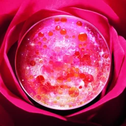 ABSOLUE CRÈME FONDANTE RECARGA