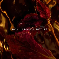 Absolus Allegoria Patchouli Ardent Eau de Parfum