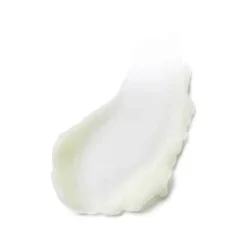 Advanced Night Repair Cleansing Balm