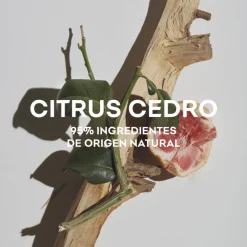 AGUA FRESCA CITRUS CEDRO EAU DE TOILETTE