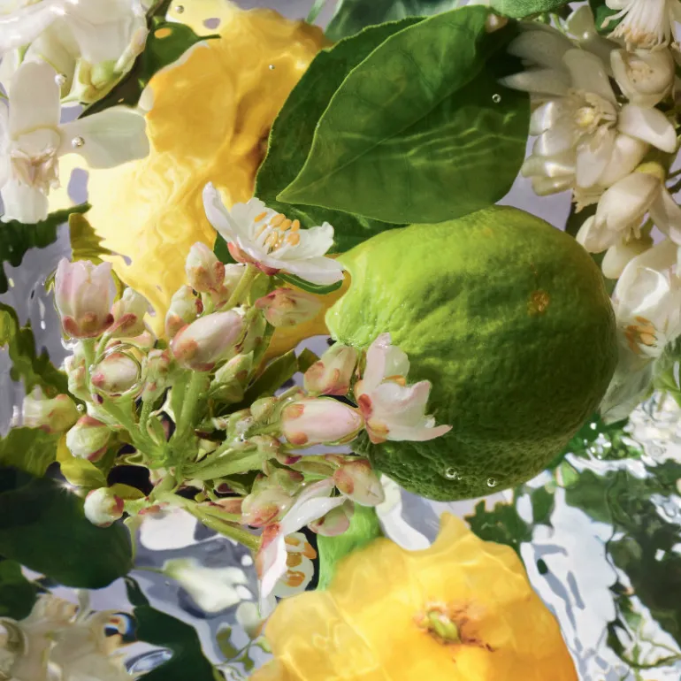 AQUA ALLEGORIA BERGAMOTE CALABRIA EAU DE TOILETTE