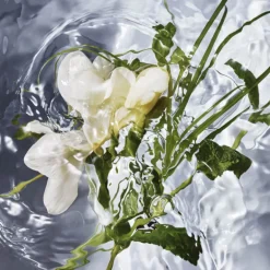 AQUA ALLEGORIA HERBA FRESCA EAU DE TOILETTE