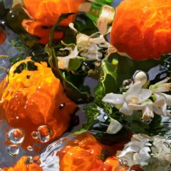 AQUA ALLEGORIA ORANGE SOLEIA EAU DE TOILETTE