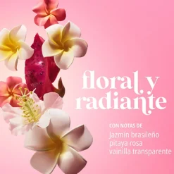 Beija Flor Elasti-Cream