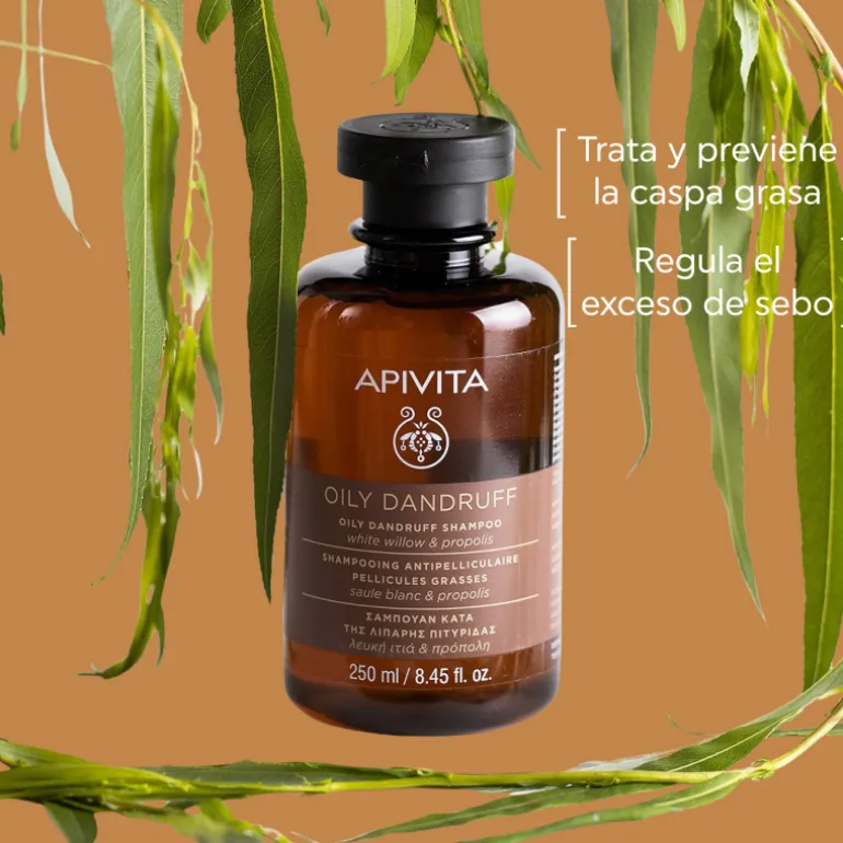 Champú Anticaspa Grasa