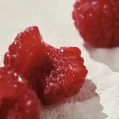 Chloé L'Eau de Parfum Intense para Mujer