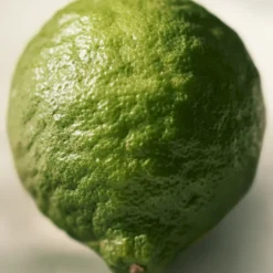 Chloé Rose Naturelle Intense Eau de Parfum Vaporizador