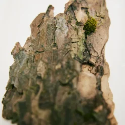 Chloé Rose Naturelle Intense Eau de Parfum Vaporizador