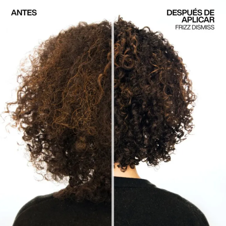 COLOR EXTEND MAGNETICS MASK 250ML