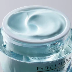 Daywear Moisturizer Multi-Protection Anti-Oxidant 24H-Moisture Creme Spf 15