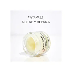 Divine Balm Bálsamo Divino