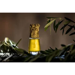 ELIXIR DE NUAGE 30ML