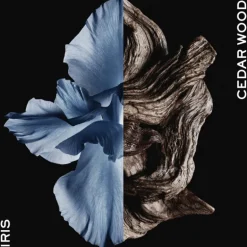 Gentleman Eau de Toilette Intense