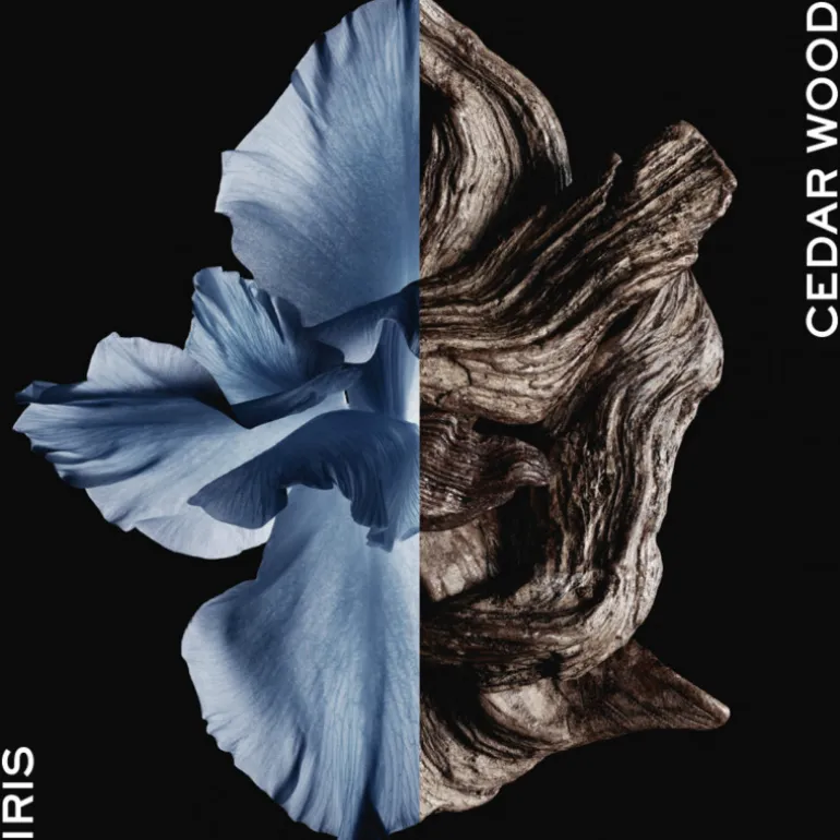 Gentleman Eau de Toilette Intense