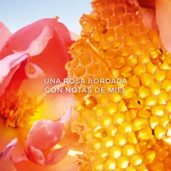 La Petite Robe Noire Honey Rose Eau de Parfum Edición Limitada