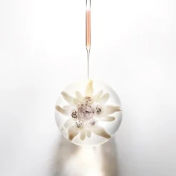 Prodigy Cellglow Radiant Crema Soft