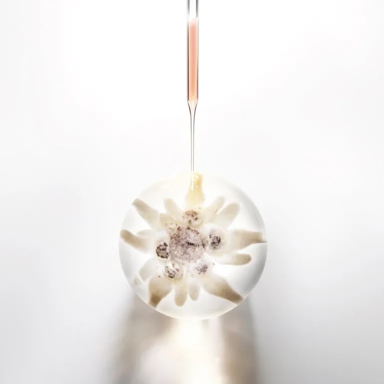 Prodigy Cellglow Radiant Crema Soft