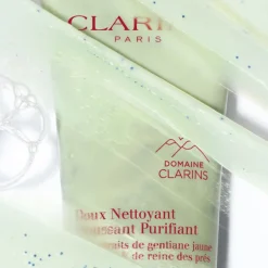 Purifying Gentle Foaming Cleanser