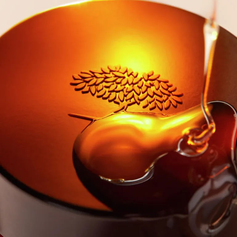 RÊVE DE MIEL® BÁLSAMO LABIAL ULTRA HIDRATANTE 15ML