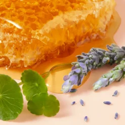 RÊVE DE MIEL CICA CRÈME MAINS RICHE