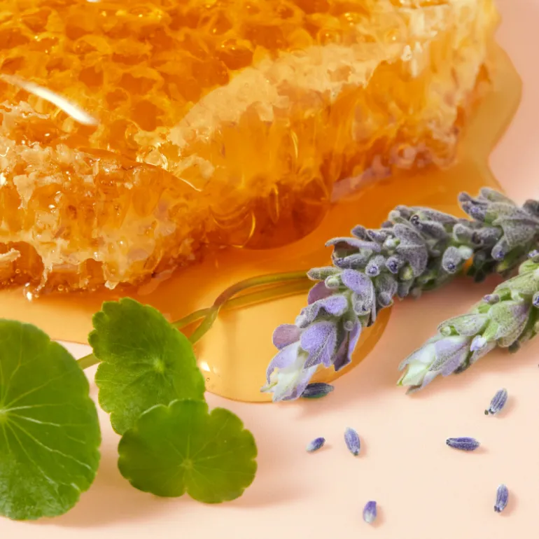 RÊVE DE MIEL CICA CRÈME MAINS RICHE