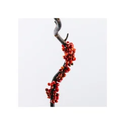 Set Loewe 7 Eau de Toilette