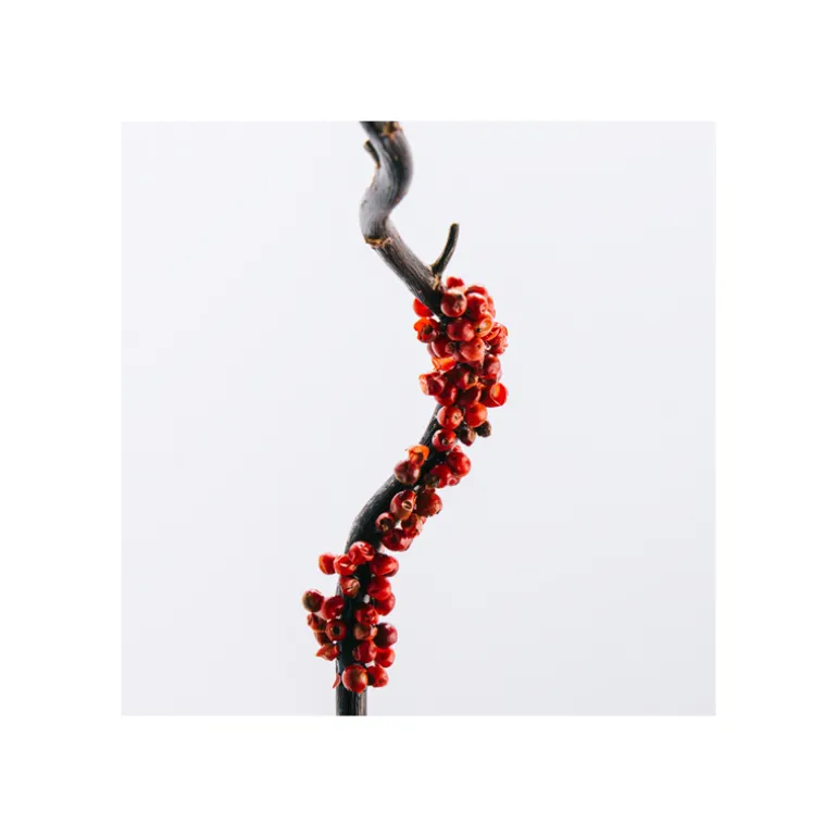 Set Loewe 7 Eau de Toilette