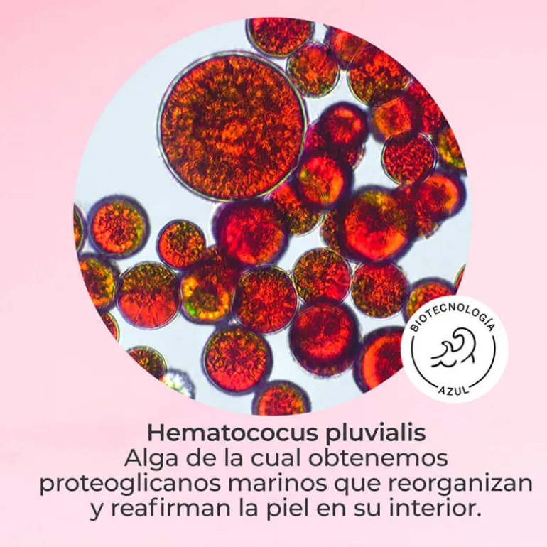 SET SEGLE DMAE LIFT 10